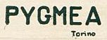 Pygmea-Trademark.jpg